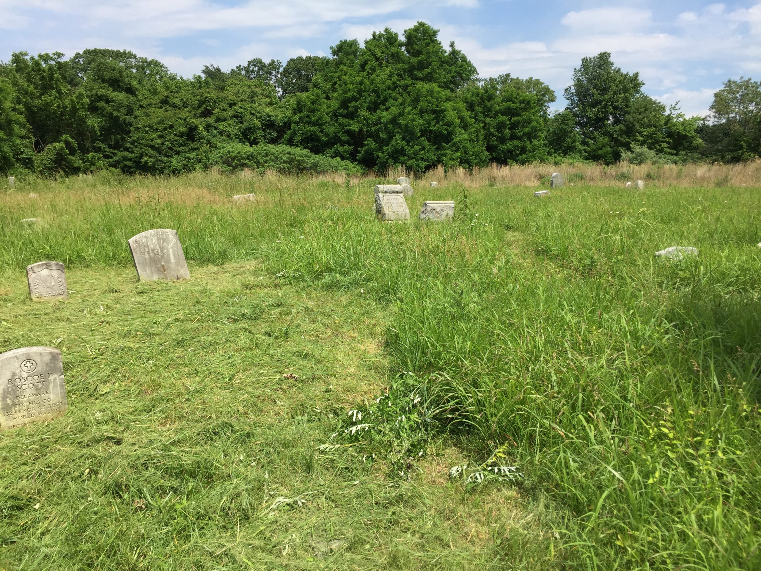 Mt. Olive Cemetery – Mother African Union